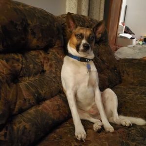 Meet your Posher, Anne